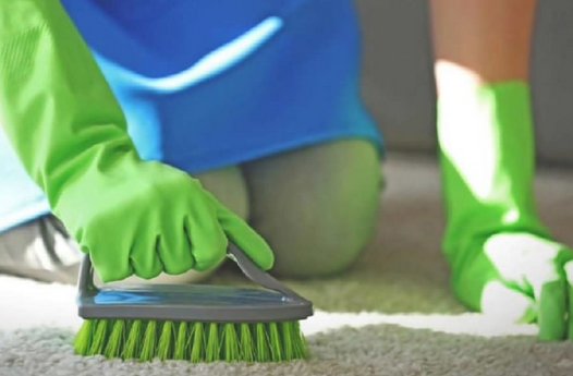 средство для чистки ковров в домашних условиях